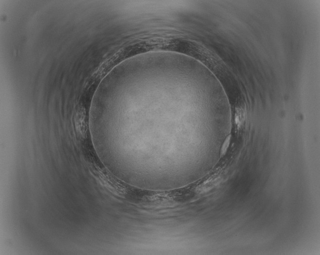 X0000077280867200610201106