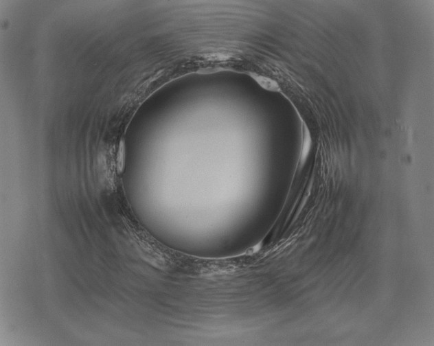 X0000077280868200610201106