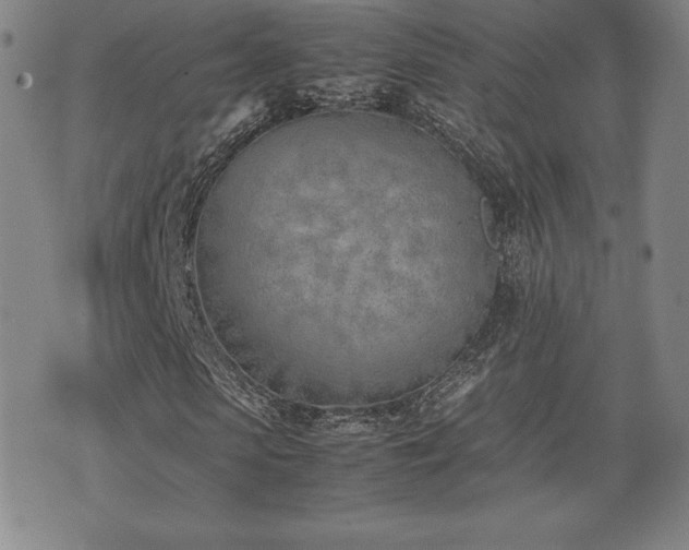 X0000077280913200610201104