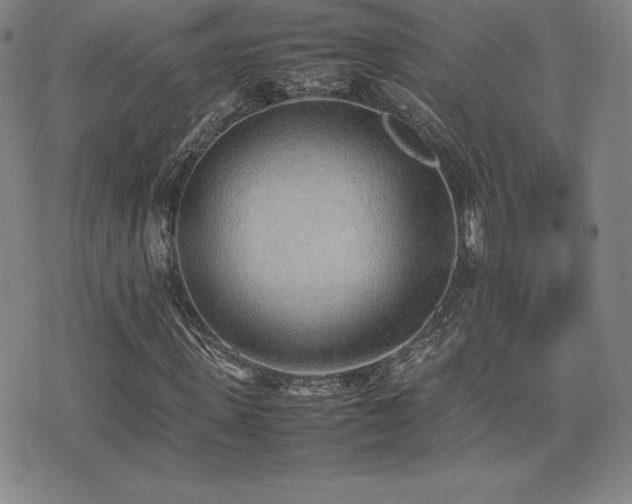 X0000077280915200610201105