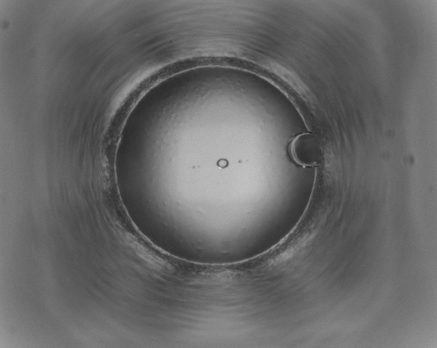 X0000077280926200610201105