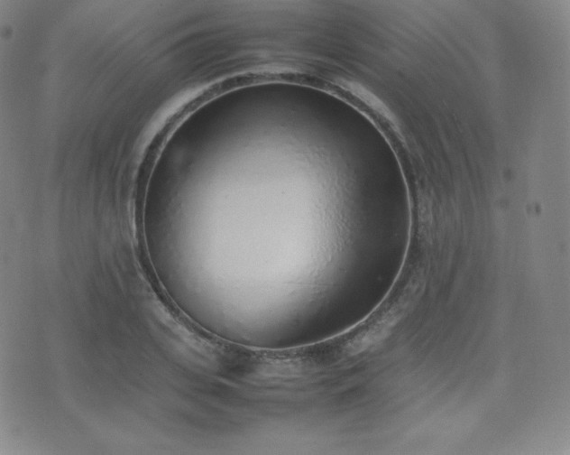 X0000077280935200610201105