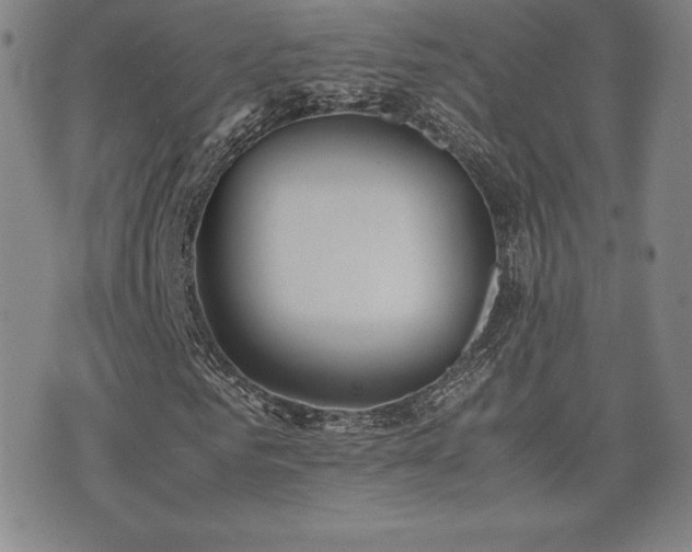 X0000077280961200610201104