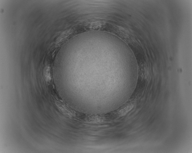 X0000077280962200610201104