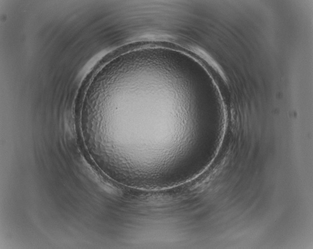 X0000077280972200610201104