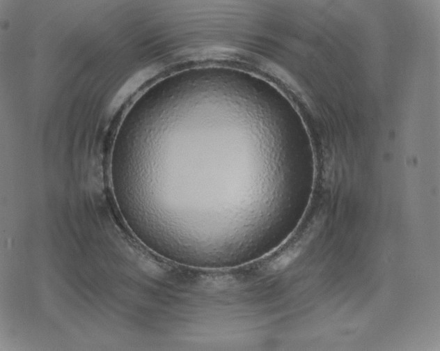 X0000077280978200610201104