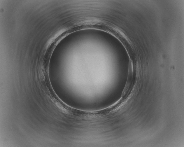 X0000077281018200610201103