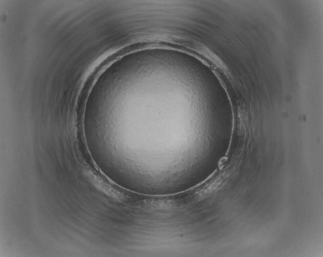 X0000077281020200610201103