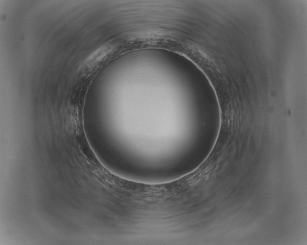 X0000077281062200610201103