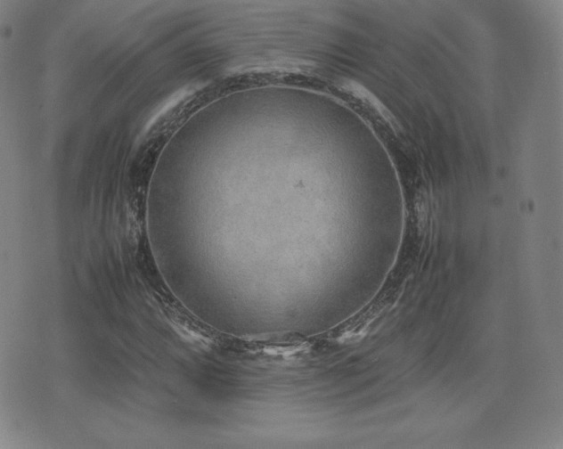 X0000077281064200610201103