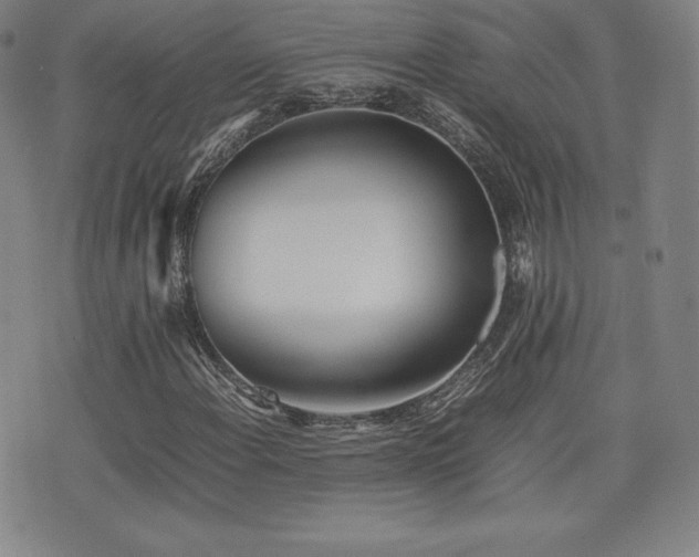 X0000077281108200610201101