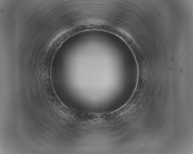 X0000077281112200610201101