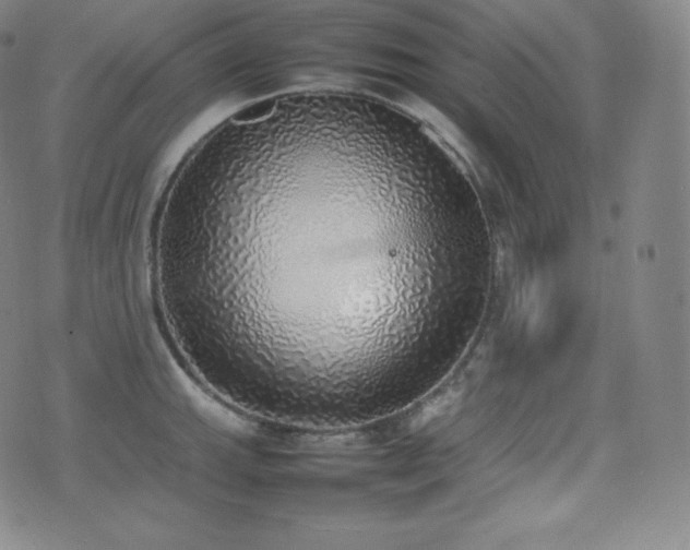 X0000077281143200610201102