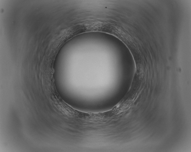 X0000077281153200610201101