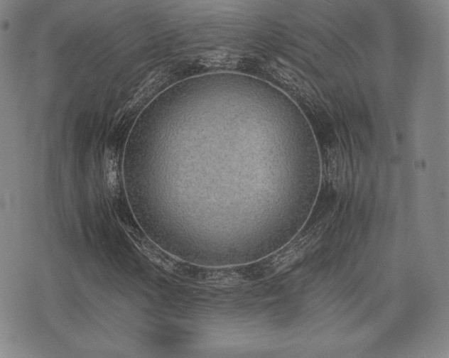 X0000077281154200610201101