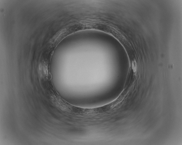 X0000077281155200610201101