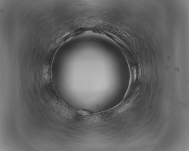 X0000077281156200610201101