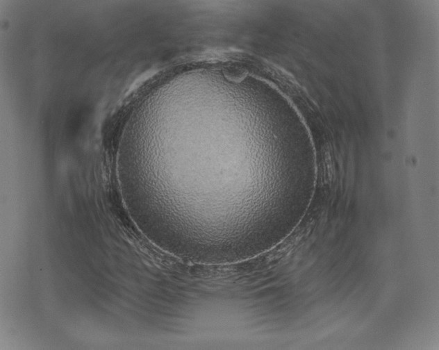 X0000077281158200610201101