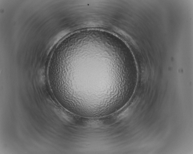 X0000077281170200610201101