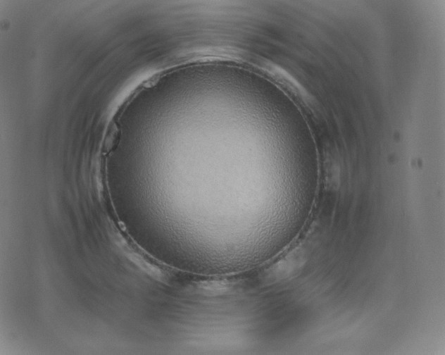 X0000077281182200610201101