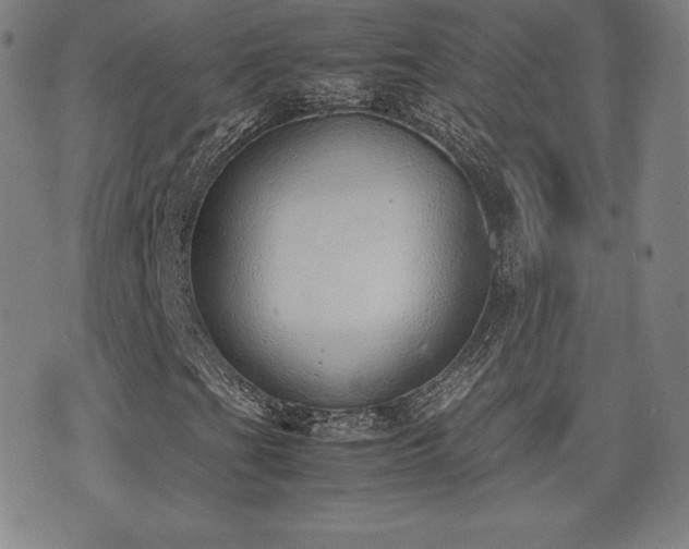 X0000077281201200610201100