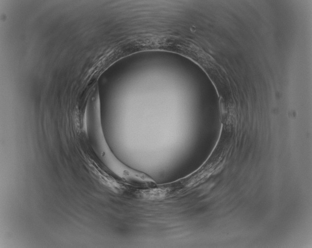 X0000077281202200610201100
