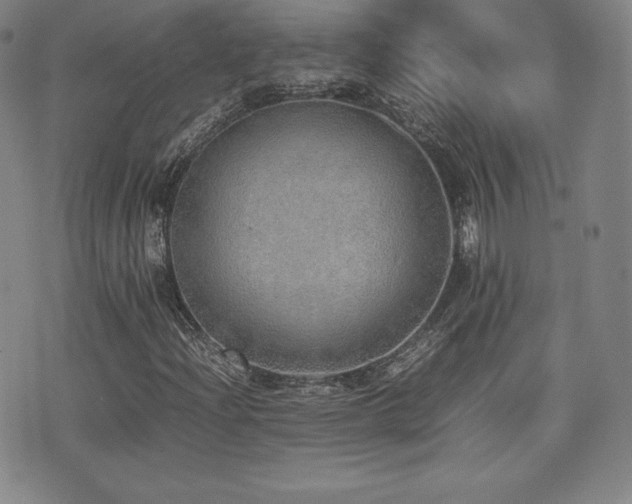 X0000077281204200610201100