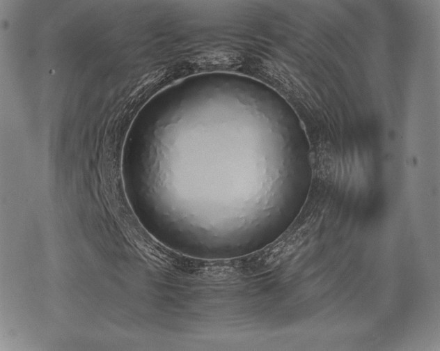 X0000077281297200610201058