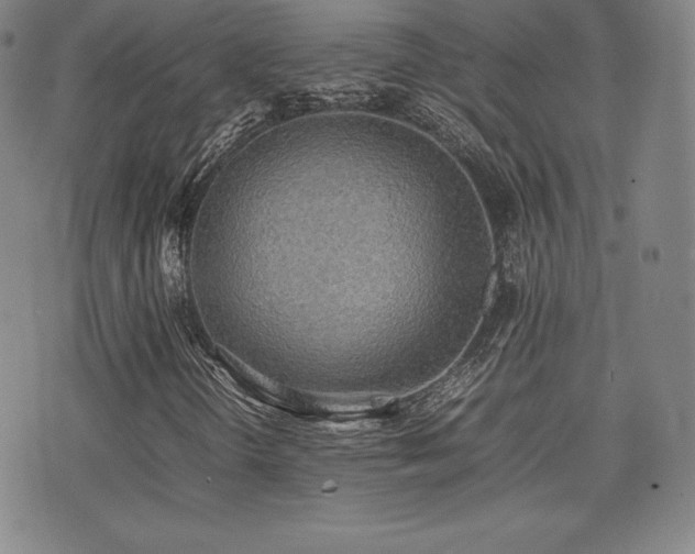 X0000077281298200610201058