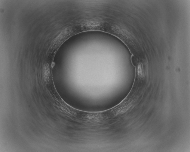 X0000077281299200610201058