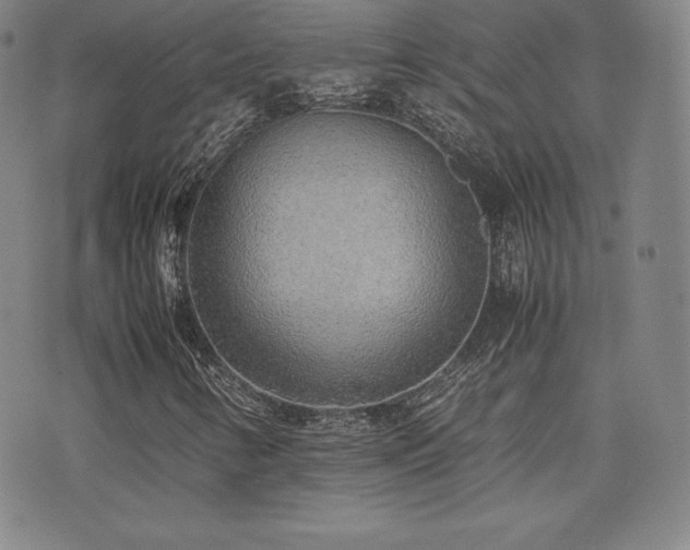 X0000077281346200610201058