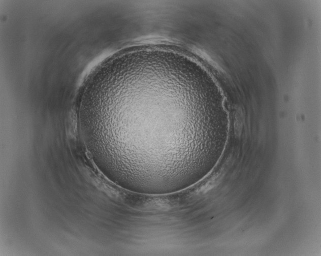 X0000077281358200610201058