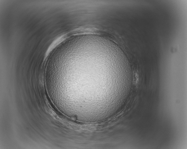 X0000077280004200610271510