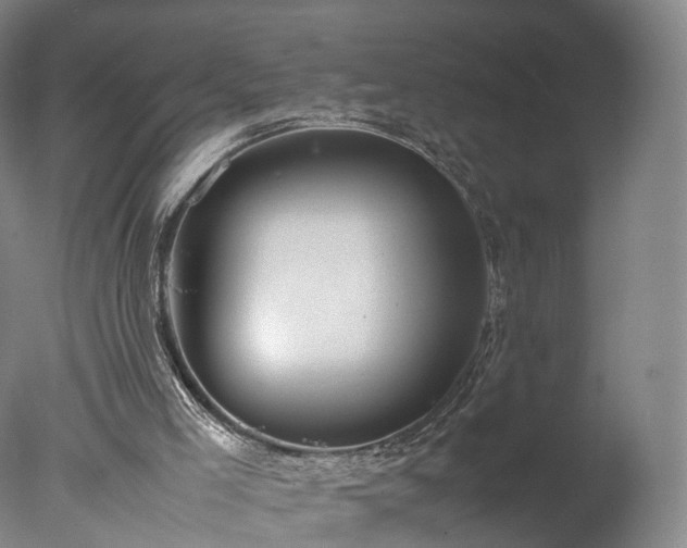 X0000077280005200610271510