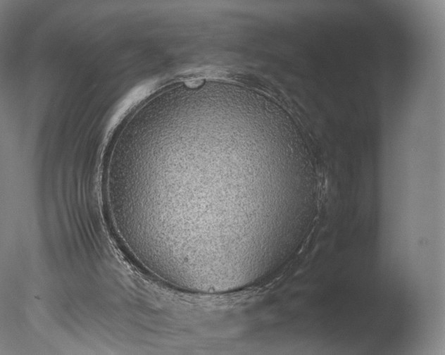 X0000077280006200610271510