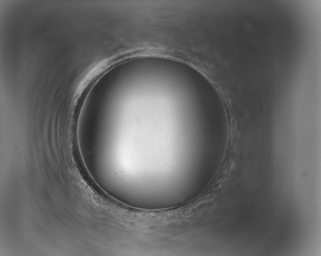 X0000077280007200610271510