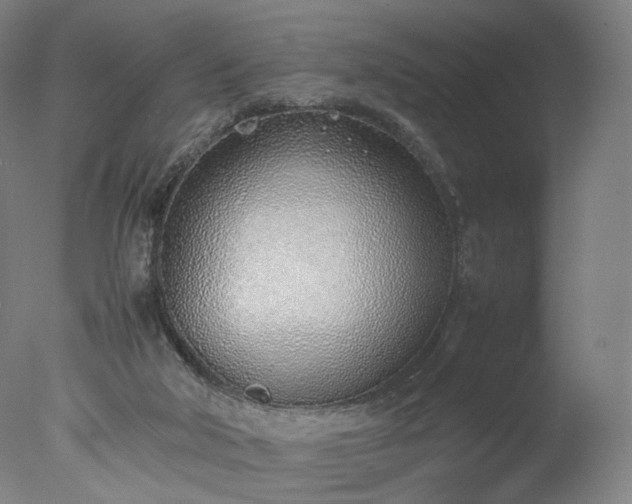 X0000077280018200610271510
