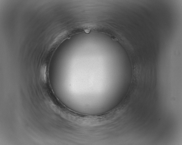 X0000077280024200610271510