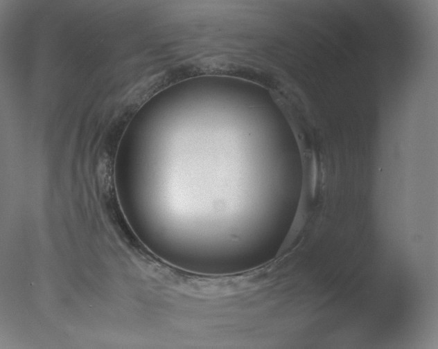 X0000077280029200610271510