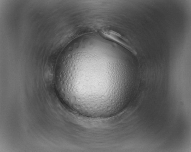 X0000077280040200610271510