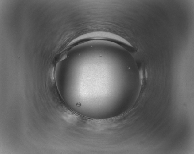 X0000077280041200610271510