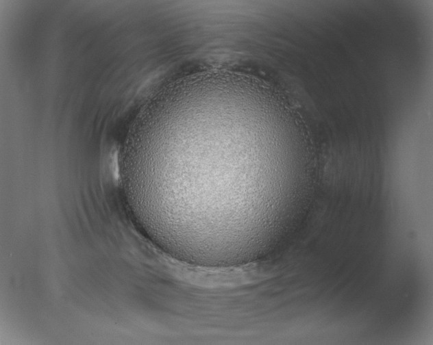 X0000077280042200610271510