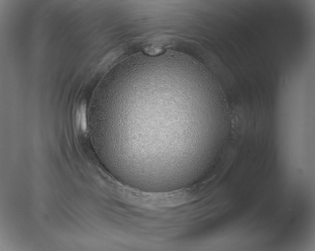 X0000077280046200610271510