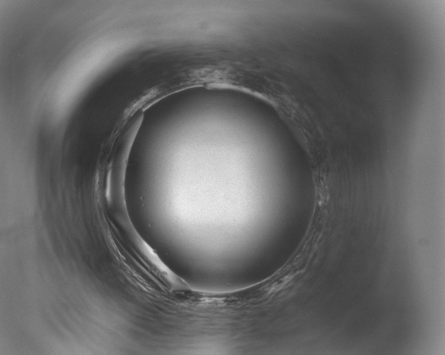 X0000077280052200610271509