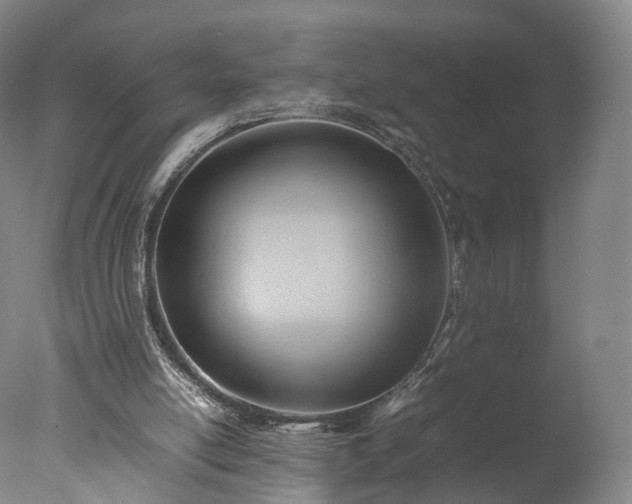 X0000077280054200610271509