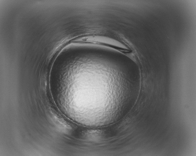 X0000077280059200610271509