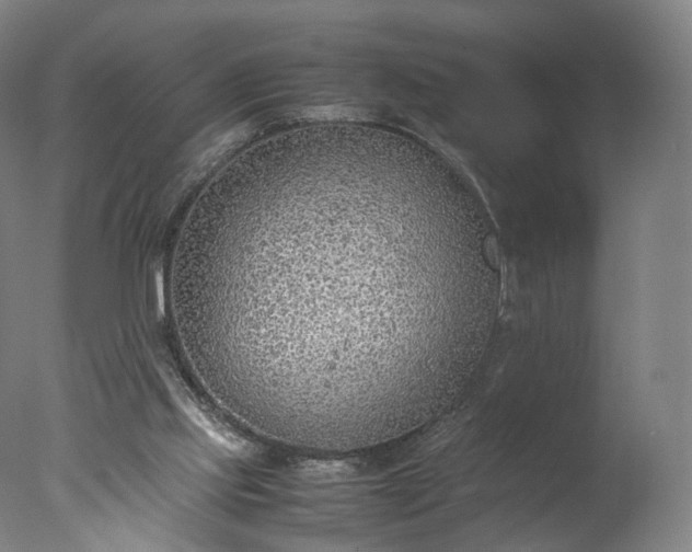 X0000077280061200610271509