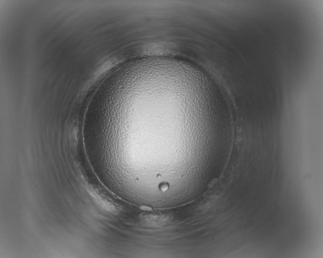 X0000077280063200610271509