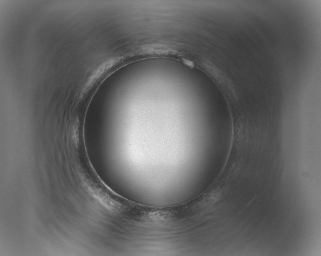 X0000077280064200610271509
