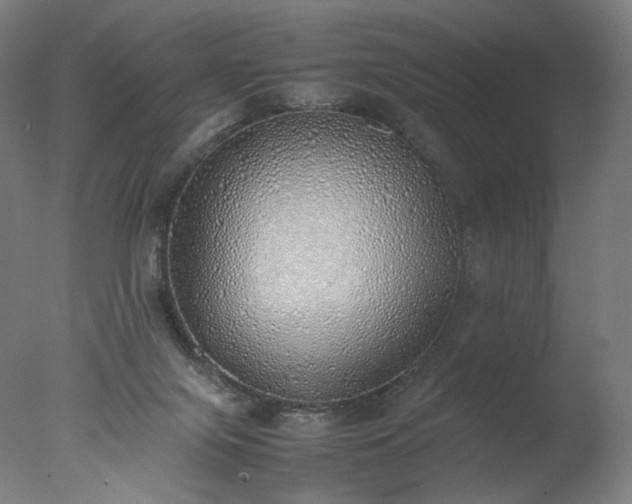 X0000077280071200610271509